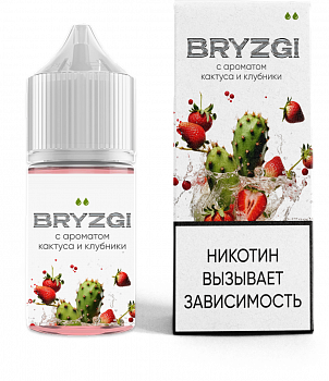 Ар BRYZGI SALT "Кактус Клубника" 30-20